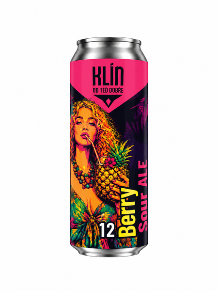 12 Berry Sour ALE , plné ochucené, plech 500 ml