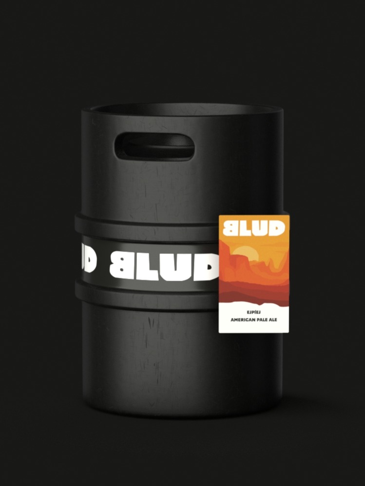 BLUD EjPíEj APA