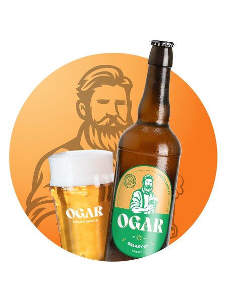 OGAR Galaxy Pale Ale 12°, SKL75